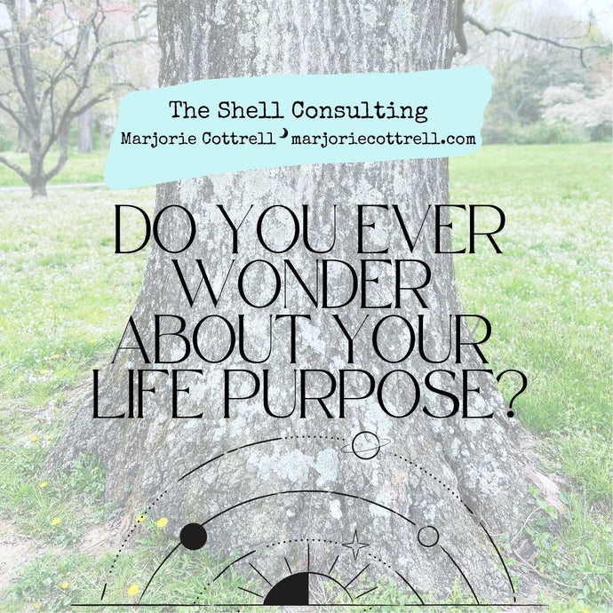Do You Ever Wonder About Your Life Purpose?